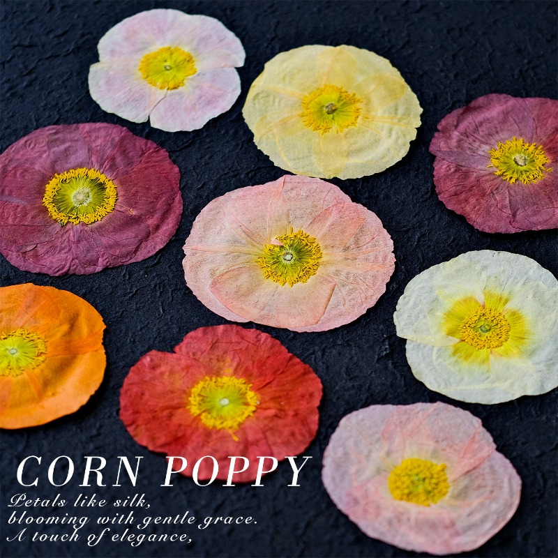 1pcs,Nature Field Poppy Presse - Resin Art Baby recension och pris