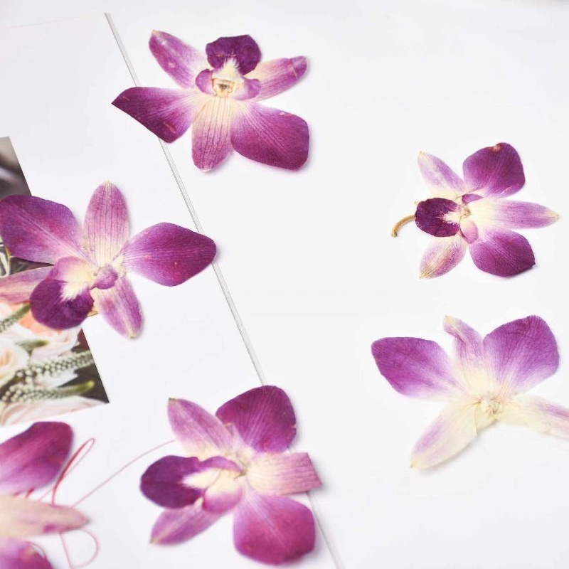 4pcs,Real Pressed Butterfly Or - Resin Art Baby recension och pris
