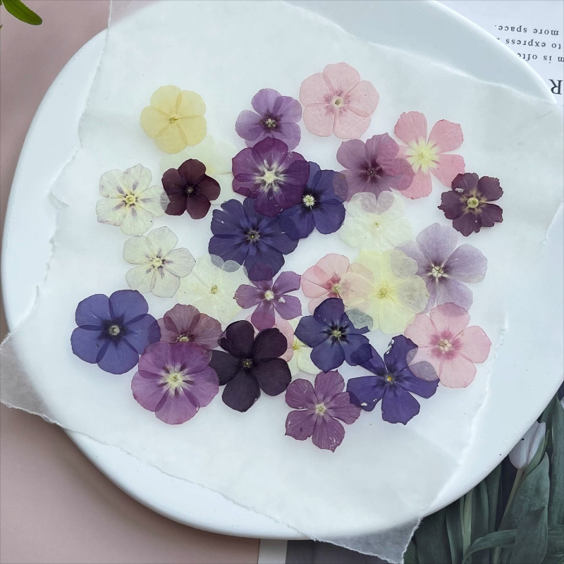 12pcs,Semi-Transparent Niche P - Resin Art Baby recension och pris