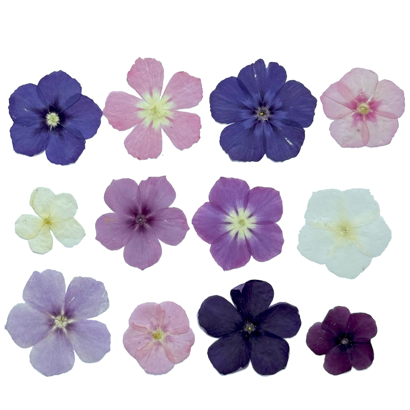 12pcs,Semi-Transparent Niche P - Resin Art Baby recension och pris
